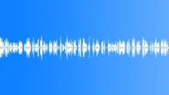 Birds Singing. Spring In The Forest Sound Effect