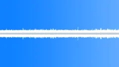 Birds Singing by the StreamSound Effect