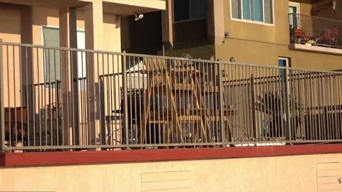 Birds sitting on the balcony in slow motion 120fps Video stock 119582653