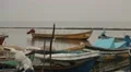 Birds sitting on boats in Sri Lanka HD Footage