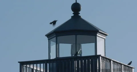 Birds sitting on top of lighthouse and fly away. Stock Footage 67547516
