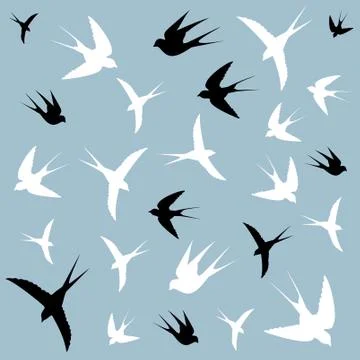 Birds in the sky Stock Illustration