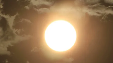 Birds in sky of sunlight Stock-Footage 84722507