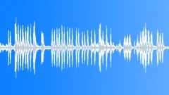 Birds, small parrots: loud calls, shreeks, alarmed, playful, chirps - loop Sound Effect