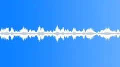 BirdsSound Effect