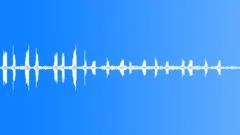 BirdsSound Effect