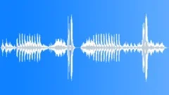 BirdsSound Effect
