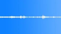 Birds South America Hummingbird Close Trill Constant Flutter Rumble Va Sound Effect