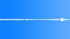 Birds South America Hummingbird Trill Constant Flutter Rumble Various Sound Effect
