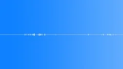 Birds South America Hummingbird Trill Constant Flutter Rumble Various Sound Effect