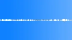 Birds South America Hummingbird Trill Constant Flutter Rumble Various Sound Effect