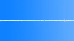 Birds South America Hummingbird Trill Constant Flutter Rumble Various Sound Effect