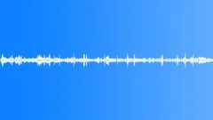 Birds South America Hummingbird Trill Flutter Low Rumble Various Birds Sound Effect