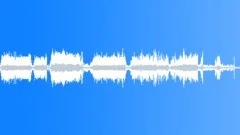 Birds South America Hummingbirds Hover Close Constant Low End Flutter Sound Effect