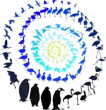 Birds in spiral Stock-Illustration