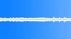 Birds, Spring, Busy River, Morning Sound Effect