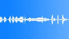 Birds, Spring, Forest, Morning (denoised) Sound Effect