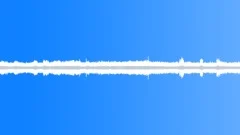 Birds, Spring, River, Morning Sound Effect