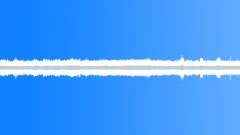 Birds, Spring, Stream, MorningSound Effect