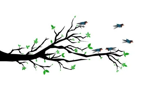 Birds with spring tree Stock Illustration