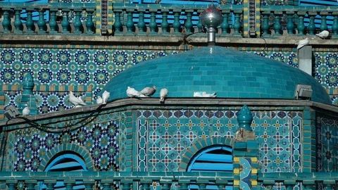 Birds Standing on Wall of Mosque Structure Video stock 106281362