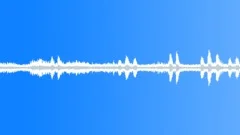 Birds summer bees Sound Effect