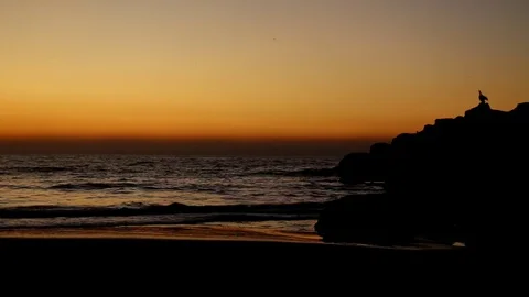 Birds in the sun setting sky Stock Footage 83131850