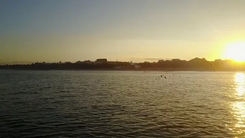 Birds on sunrise Video stock 82219413