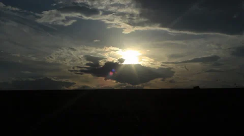 Birds in the sunset Stock Footage 31297413