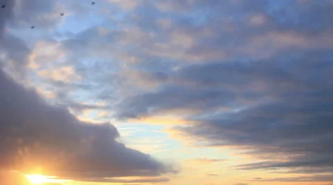 Birds in sunset Stock Footage 53300461