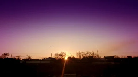 Birds at sunset Stock Footage 98280971