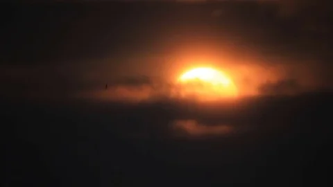 Birds in sunshine cloudy sky Video stock 81451830