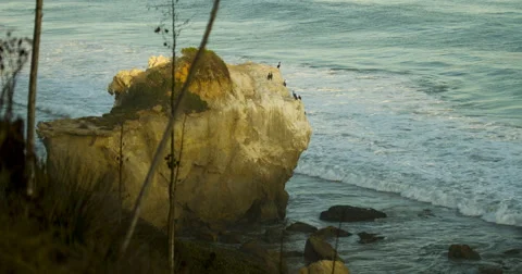 Birds Take Off from Beach Sea Stack While Sun Sets 4K Timelapse Stock Footage 40670553