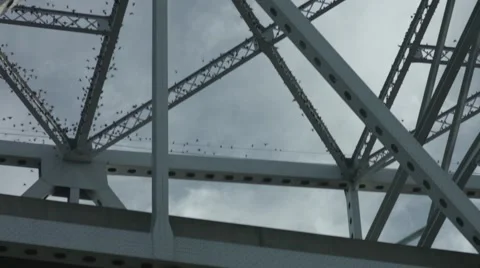 Birds Take off from Bridge Stock-Footage 68383115