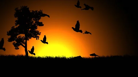 Birds take flight against a rising sun Stock Footage