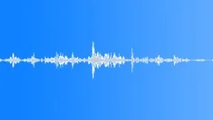 Birds talking song singing Sound Effect