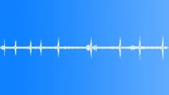 BIRDS, TIKAL Sound Effect