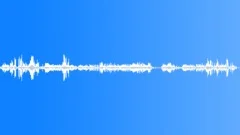 BIRDS, TIKALSound Effect