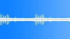 Birds, toads, ducks, roosters - Early morning by the Busy River (ambient loop Sound Effect