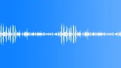 Birds, toads, ducks, roosters - Early morning in the village (denoised) 01 Sound Effect