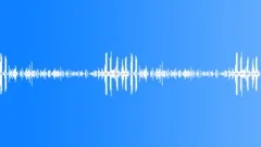 Birds, toads, ducks, roosters - Early morning in the village (denoised) 02Sound Effect