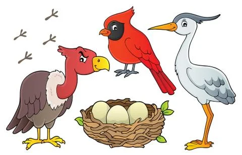 Birds topic collection Stock Illustration