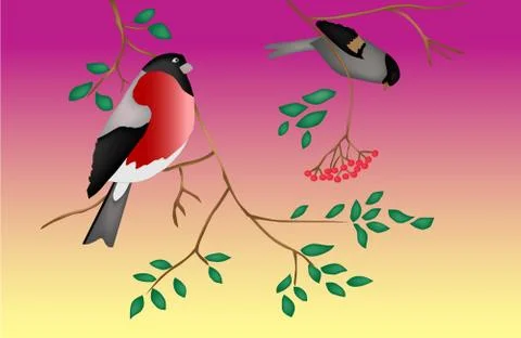 Birds on a tree. Twilight. Stock-Illustration