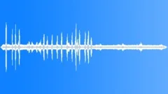 Birds in the tropical forestSound Effect