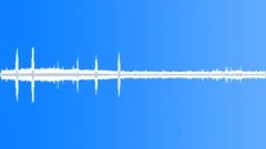 Birds in the tropical jungleSound Effect