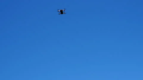 Birds try to attack the quadcopter Stock Footage 131461887