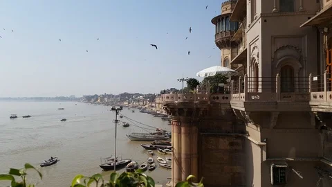 Birds in Varanasi River Stock Footage 98094050