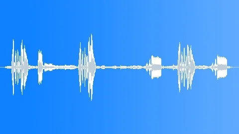 Birds Various Bird Midwestern Calls Sweet BG Birds Sound Effect