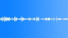Birds Various Hummingbird Chirps High Pitched Various Performances Intensity Ch Sound Effect