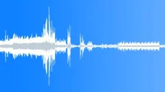 Birds Various Hummingbirds Low End Flutter Rumble Twitter High Pitched Sound Effect